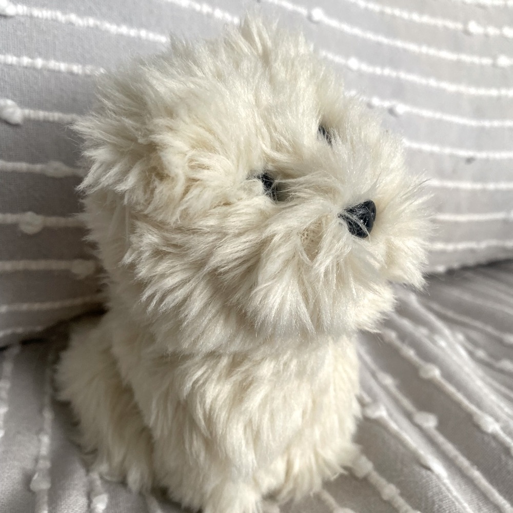Coconut the Dog